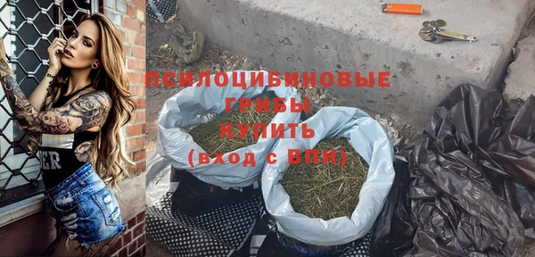 ГАЛЛЮЦИНОГЕННЫЕ ГРИБЫ Арсеньев