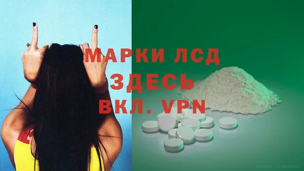 ГАЛЛЮЦИНОГЕННЫЕ ГРИБЫ Арсеньев