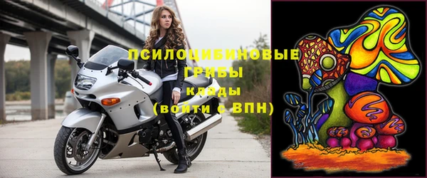 ГАЛЛЮЦИНОГЕННЫЕ ГРИБЫ Арсеньев